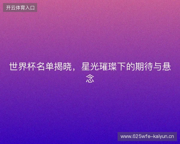 世界杯名单揭晓，星光璀璨下的期待与悬念