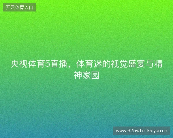 央视体育5直播，体育迷的视觉盛宴与精神家园